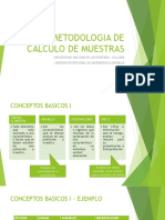 Metodologia de Calculo de Muestras