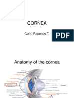 Cornea: Conf. Pasenco T