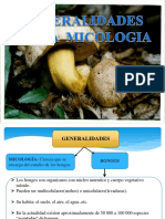 Micologia