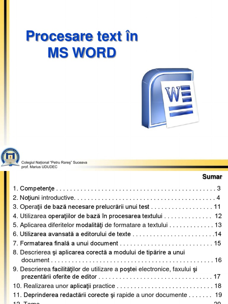 Procesare de Text in MS Word PDF | PDF