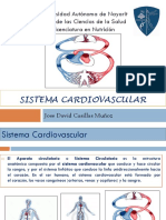 Presentacion Sistema Cardiovascular Morfofisiologia