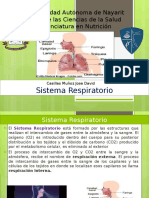 Presentacion Sistema Respiratorio