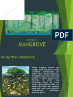 Mangrove FIX