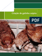 galinha caipira.pdf
