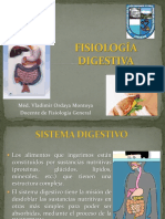 Clase 8 - Fisio Digestiva