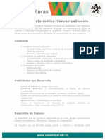 auditoria_informatica_conceptualizacion