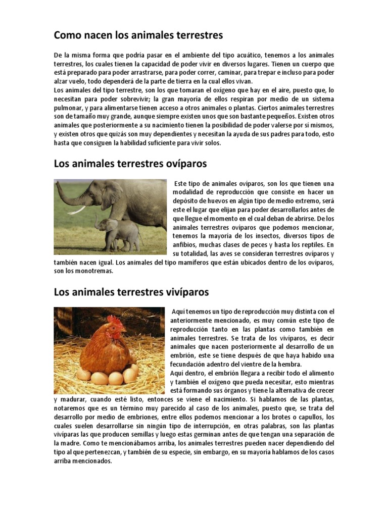 Como Nacen y Que Comen Los Animales Terrestres PDF Primavera árabe Agitación