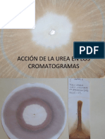 Cromas Urea y Herbicida