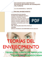 Teorías Del Envejecimiento