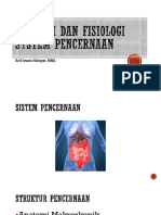 Anatomi Dan Fisiologi System Pencernaan