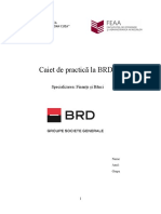 Caiet de Practică La BRD Final