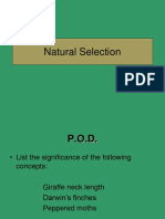 Natural Selection Concept 3
