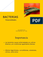 Bacterias