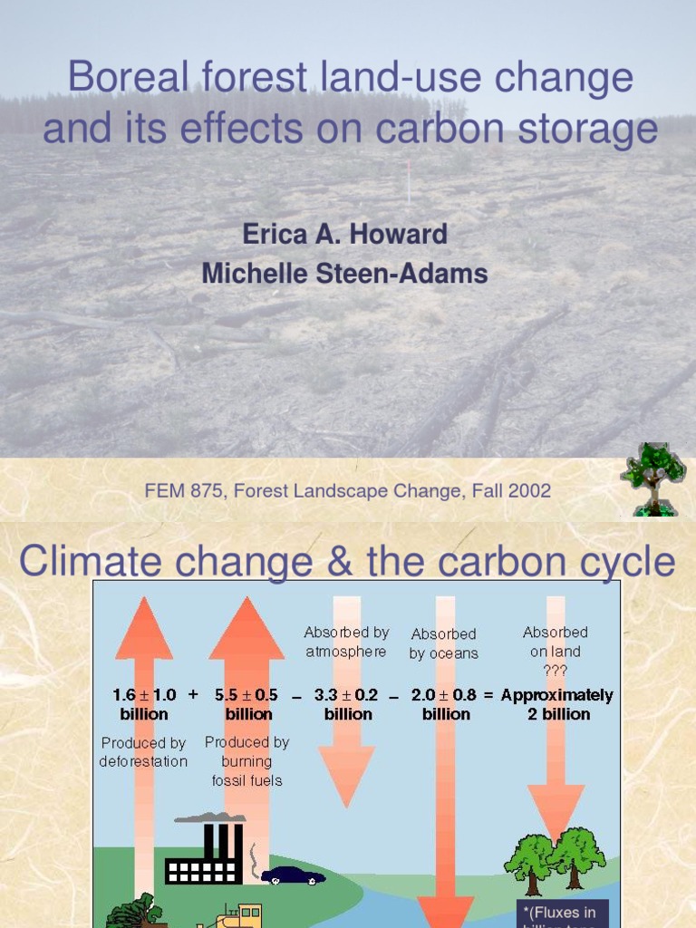 Boreal Forest Land-Use Change and Its Effects On Carbon Storage | PDF ...