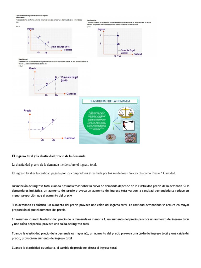Ingreso Total y Elasticidad de Demanda | PDF | Elasticidad (economía ...