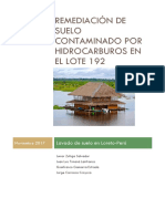 Remediación de Suelo Contaminado Por Hidrocarburos en El Lote 192