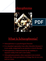 Schizophrenia 100521005249 Phpapp01