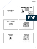 P4 Exame de Sangue Microscopia Leucócitos