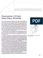 Bagian IV Pembentukan ATP Dari Bahan Bakar Metabolik