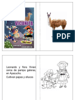 Cuento Vicuñita