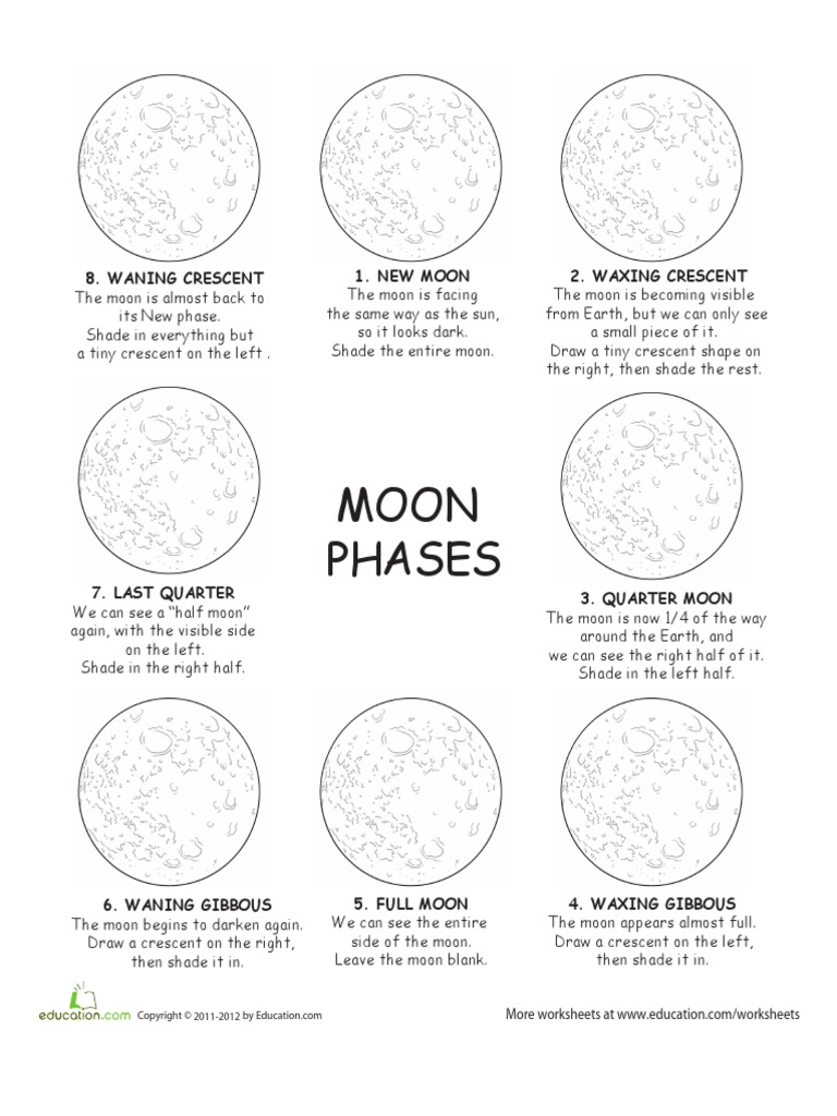Moon Phases Worksheet