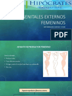 GENITALES EXTERNOS FEMENINOS