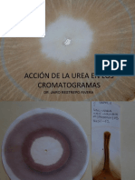 Ureacromas Dr. Jairo Restrepo Rivera - (Msb)