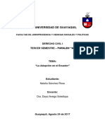 Adopción-Derecho Social y de Familia