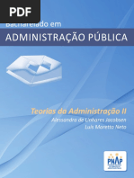 Teorias Da Administração 2