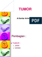 Anatomi Dan Fisiologi Mata 1 (19)