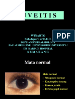 Anatomi Dan Fisiologi Mata 1 (20)