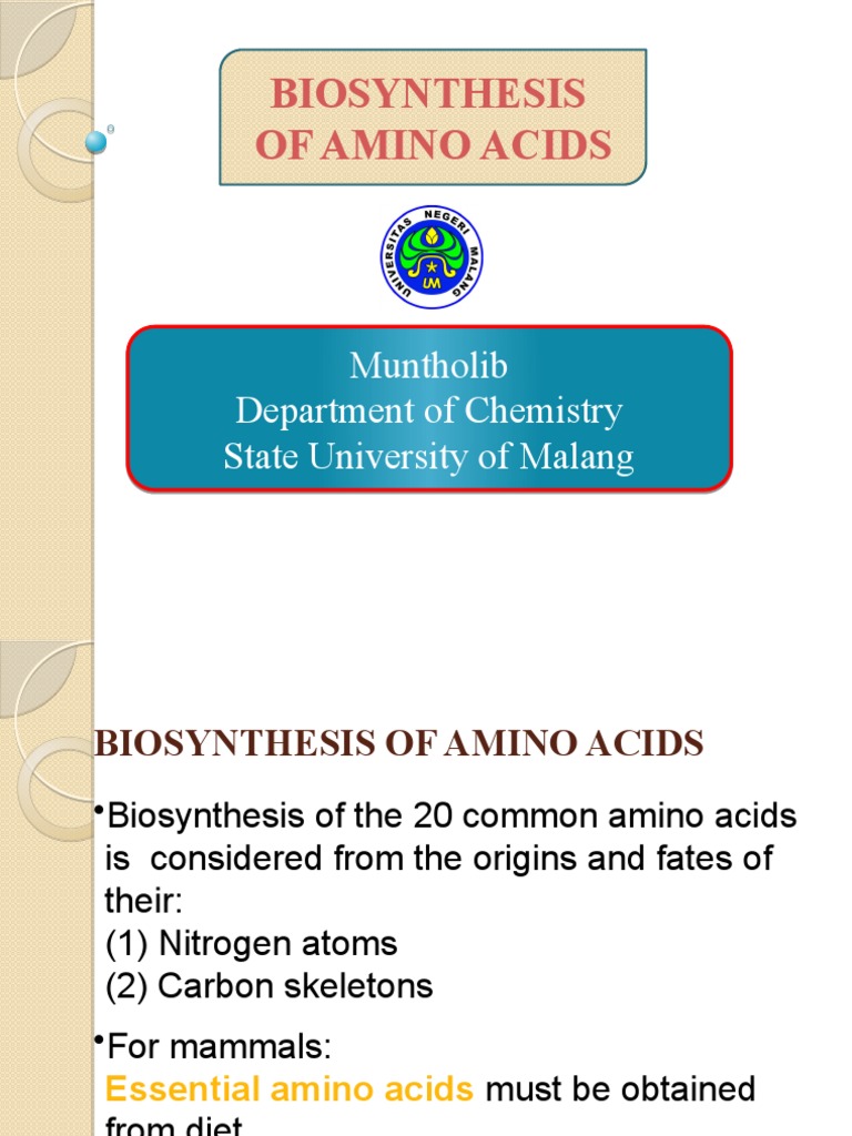 Amino Acid Biosynthesis Overview | PDF | Biosynthesis | Molecular Biology