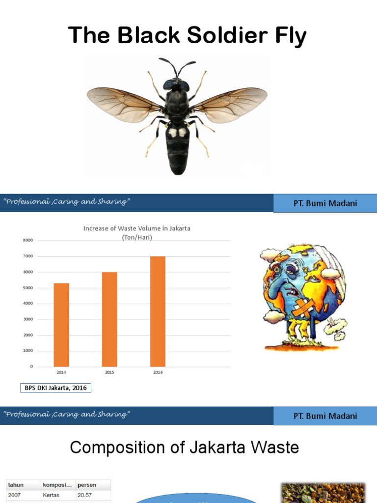 The Black Soldier Fly Project Platinum Nature