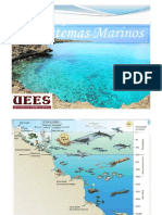 Ecosistemas Marinos PDF