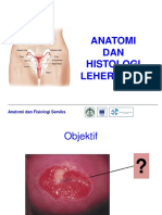 Anatomi Dan Histologi Serviks