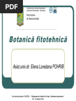 Botanica Prezentare PDF