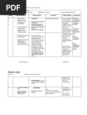 weekly plan