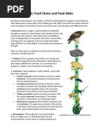 Food Chains and Food Webs DF (1).doc