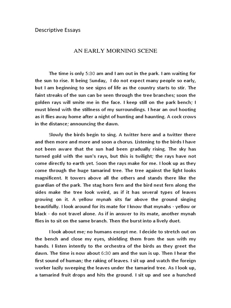 essay on morning scene in hindi