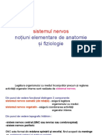 1anato neuro (3).pdf