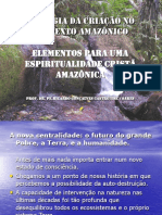 2006-08-15 V Enc Inter - Teologia Espiritualidade Criacao Contexto Amazonico