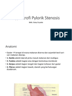 Hypertrofi Pylorik Stenosis
