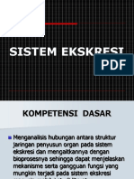 Sistem Ekskresi ppt KBM ,.ppt