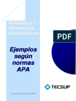 Normas Apa.pdf