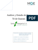 Analisis Caso Té de Guaraní.docx