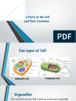 The Parts of The Cell and Their Functions