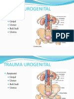 Kuliah Trauma Urogenital 2