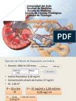 Fisiologia Renal. Parte II