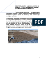 BIOFERTILIZANTES LIQUIDOS MANUAL.doc