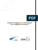 PUEBLOS INDÍGENAS Y CIUDADANÍA.pdf
